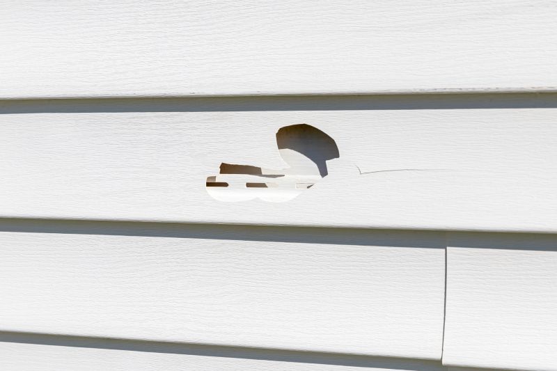 Vinyl Siding Repair - Image 6